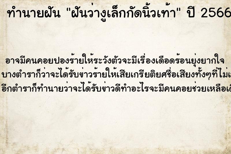 ทำนายฝันฝันว่างูเล็กกัดนิ้วเท้า ทำนายฝันทำนายฝันฝันว่างูเล็กกัดนิ้วเท้า