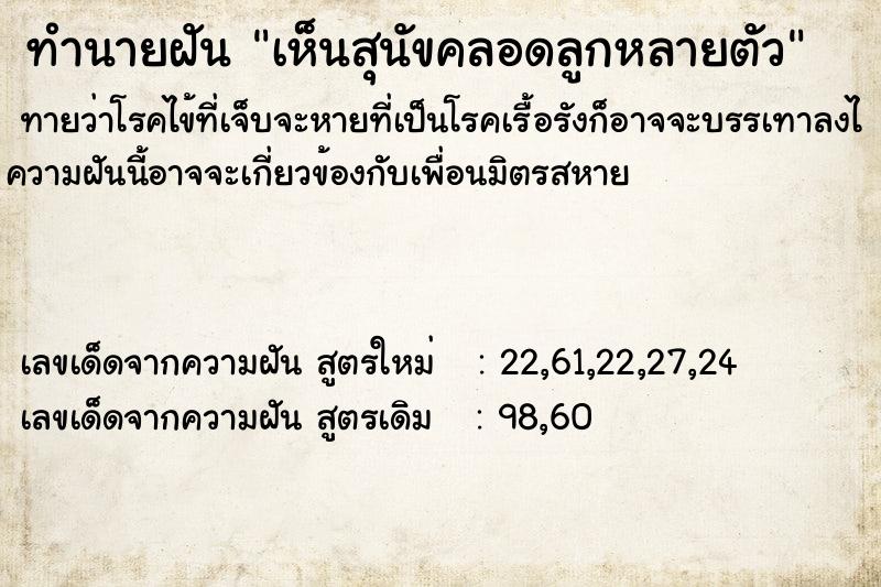 ทำนายฝันทำนายฝันเห็นสุนัขคลอดลูกหลายตัว