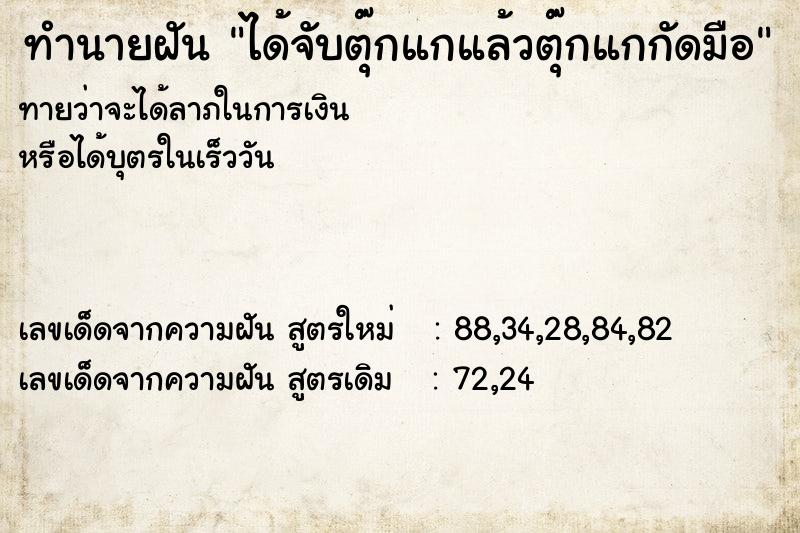 ทำนายฝัน ได้จับตุ๊กแกแล้วตุ๊กแกกัดมือ ทำนายฝัน ได้จับตุ๊กแกแล้วตุ๊กแกกัดมือ