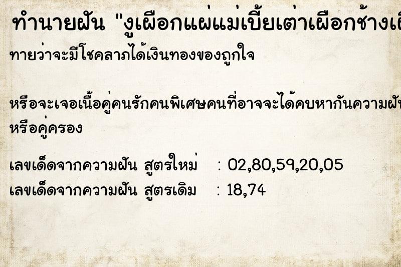 ทำนายฝันงูเผือกแผ่แม่เบี้ยเต่าเผือกช้างเผือก ทำนายฝันทำนายฝันงูเผือกแผ่แม่เบี้ยเต่าเผือกช้างเผือก