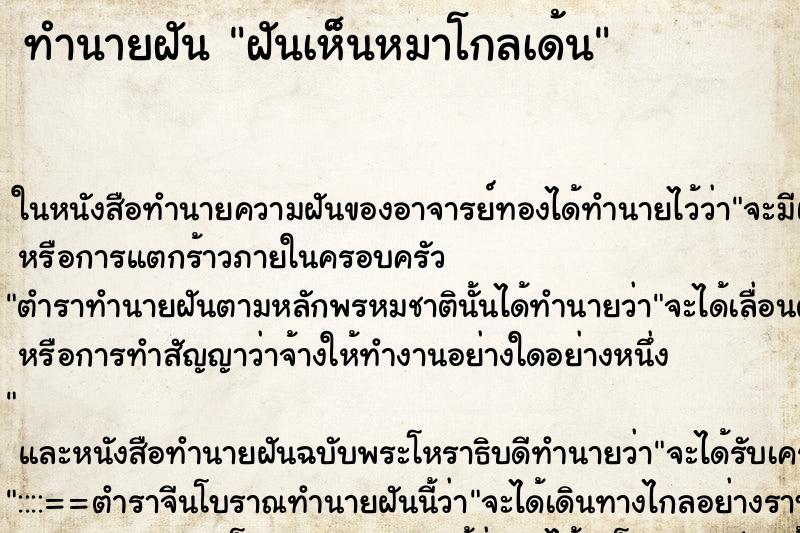 ทำนายฝันฝันเห็นหมาโกลเด้น ทำนายฝันทำนายฝันฝันเห็นหมาโกลเด้น