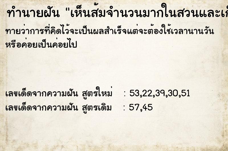 ทำนายฝันทำนายฝันเห็นส้มจำนวนมากในสวนและเก็บมา