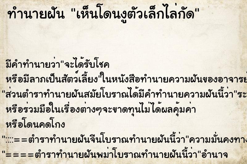 ทำนายฝันทำนายฝันเห็นโดนงูตัวเล็กไล่กัด