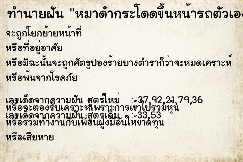 ทำนายฝัน หมาดำกระโดดขึ้นหน้ารถตัวเอง ทำนายฝัน หมาดำกระโดดขึ้นหน้ารถตัวเอง