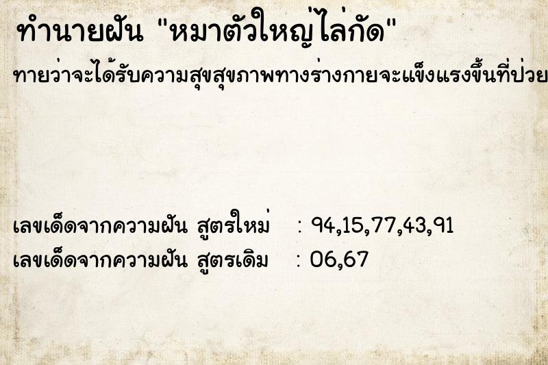 ทำนายฝัน หมาตัวใหญ่ไล่กัด