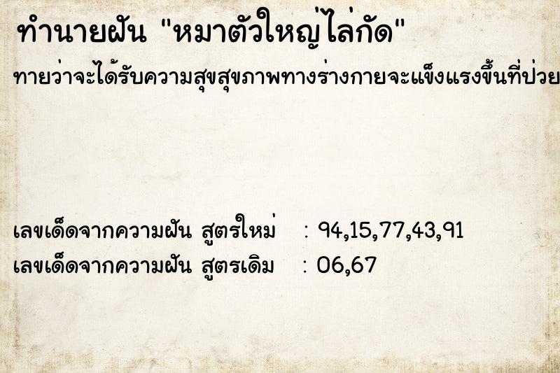 ทำนายฝัน หมาตัวใหญ่ไล่กัด ตำราโบราณ แม่นที่สุดในโลก