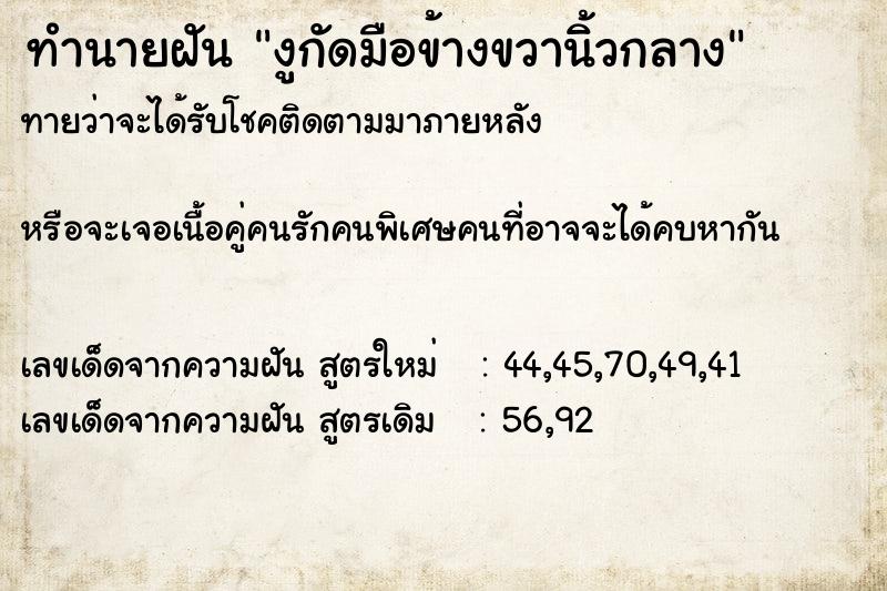 ทำนายฝันงูกัดมือข้างขวานิ้วกลาง ทำนายฝันทำนายฝันงูกัดมือข้างขวานิ้วกลาง