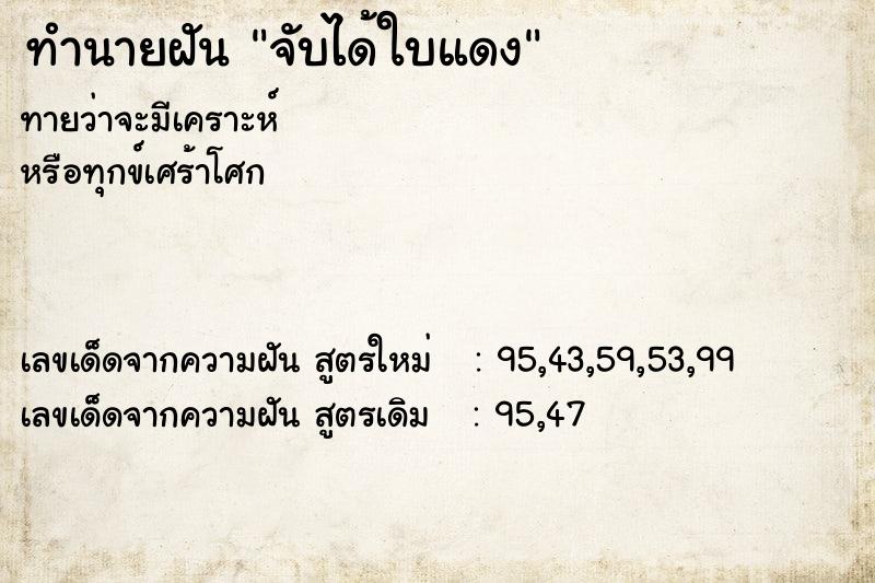 ทำนายฝัน จับได้ใบแดง ทำนายฝัน จับได้ใบแดง