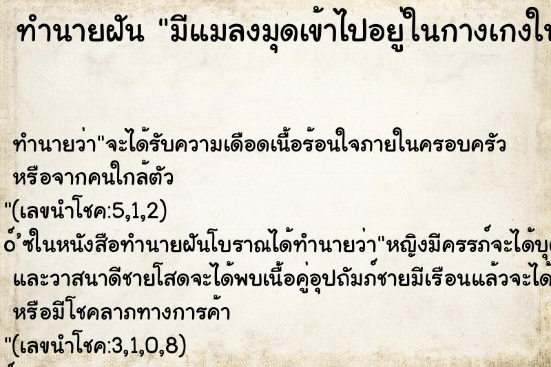 ทำนายฝัน มีแมลงมุดเข้าไปอยู่ในกางเกงในของตัวเรา