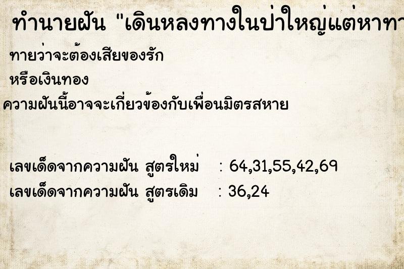 ทำนายฝัน เดินหลงทางในป่าใหญ่แต่หาทางออกเจอ ทำนายฝัน เดินหลงทางในป่าใหญ่แต่หาทางออกเจอ