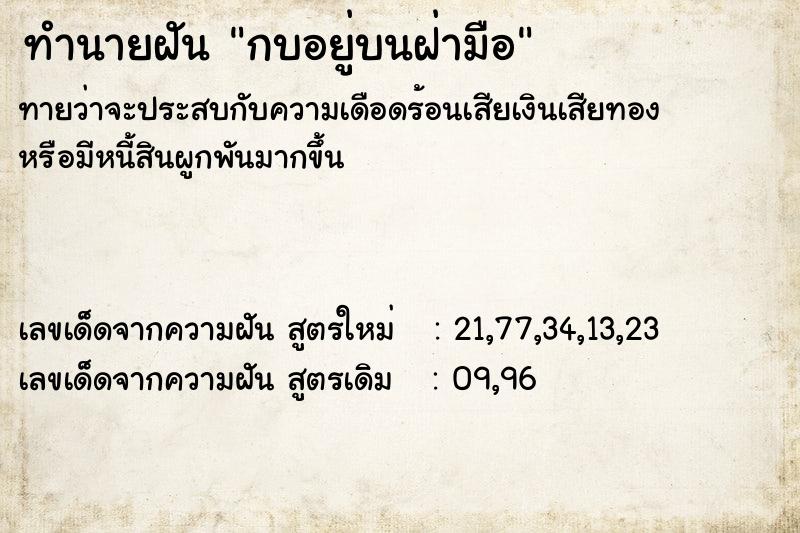 ทำนายฝันกบอยู่บนฝ่ามือ ทำนายฝันทำนายฝันกบอยู่บนฝ่ามือ