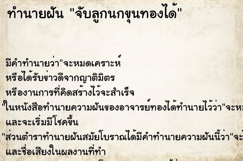 ทำนายฝัน จับลูกนกขุนทองได้ ทำนายฝัน จับลูกนกขุนทองได้