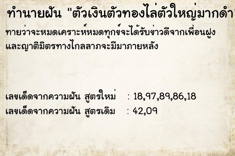ทำนายฝันตัวเงินตัวทองไล่ตัวใหญ่มากดำ ทำนายฝันทำนายฝันตัวเงินตัวทองไล่ตัวใหญ่มากดำ