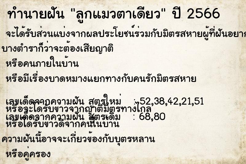 ทำนายฝัน ลูกแมวตาเดียว ทำนายฝัน ลูกแมวตาเดียว
