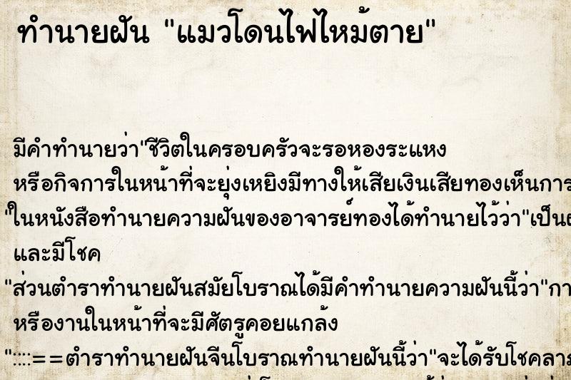 ทำนายฝัน แมวโดนไฟไหม้ตาย ตำราโบราณ แม่นที่สุดในโลก