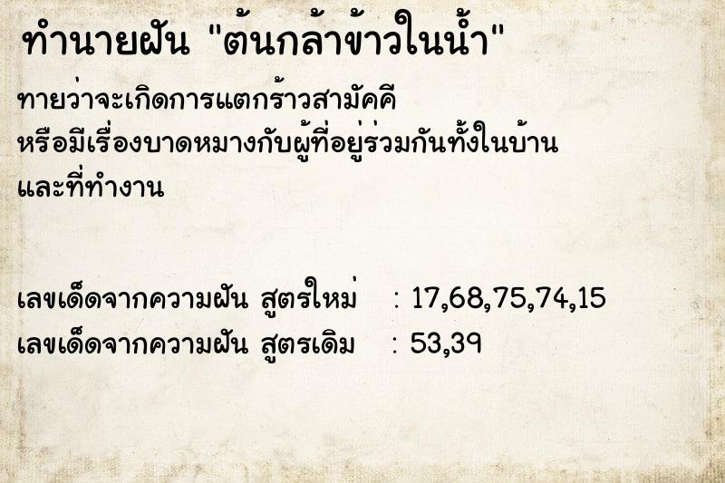ทำนายฝัน ต้นกล้าข้าวในน้ำ ทำนายฝัน ต้นกล้าข้าวในน้ำ