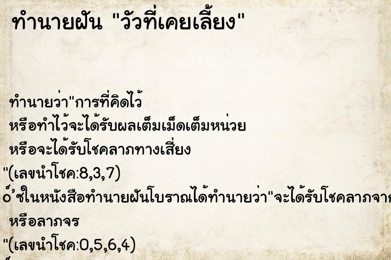 ทำนายฝันวัวที่เคยเลี้ยง ทำนายฝันทำนายฝันวัวที่เคยเลี้ยง