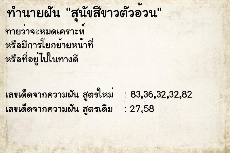 ทำนายฝัน สุนัขสีขาวตัวอ้วน ทำนายฝัน สุนัขสีขาวตัวอ้วน