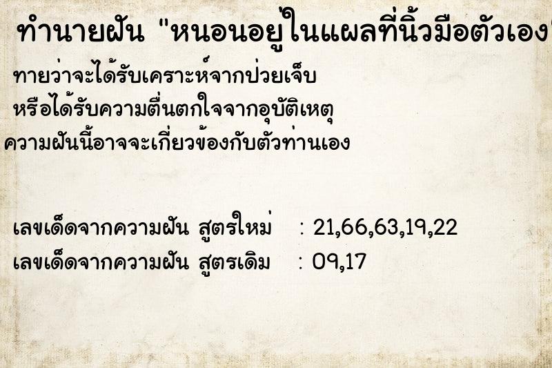 ทำนายฝัน หนอนอยู่ในแผลที่นิ้วมือตัวเอง ทำนายฝัน หนอนอยู่ในแผลที่นิ้วมือตัวเอง