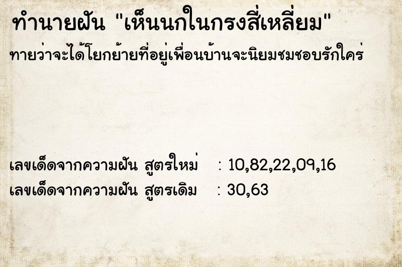 ทำนายฝัน เห็นนกในกรงสี่เหลี่ยม ทำนายฝัน เห็นนกในกรงสี่เหลี่ยม