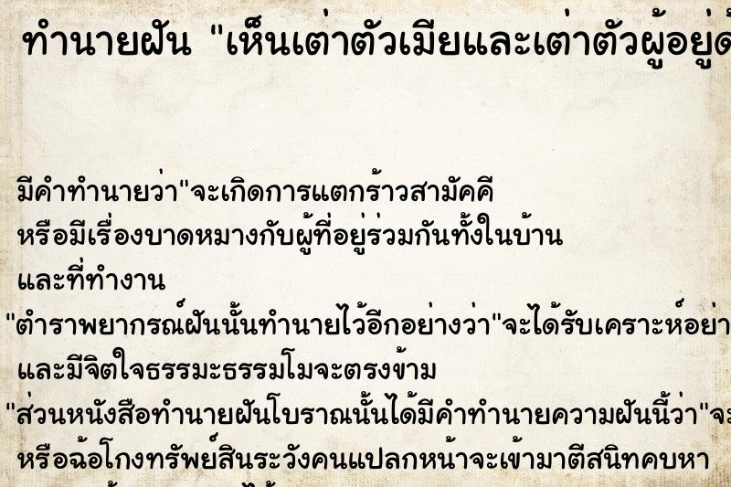 ทำนายฝันทำนายฝันเห็นเต่าตัวเมียและเต่าตัวผู้อยู่ด้วยกัน