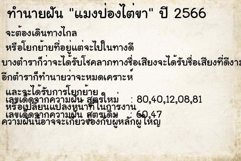 ทำนายฝันแมงป่องไต่ขา ทำนายฝันทำนายฝันแมงป่องไต่ขา