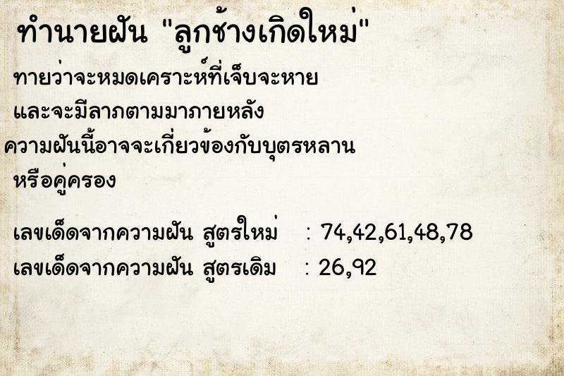 ทำนายฝันทำนายฝันลูกช้างเกิดใหม่