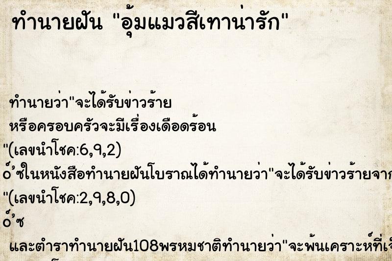 ทำนายฝัน อุ้มแมวสีเทาน่ารัก ทำนายฝัน อุ้มแมวสีเทาน่ารัก