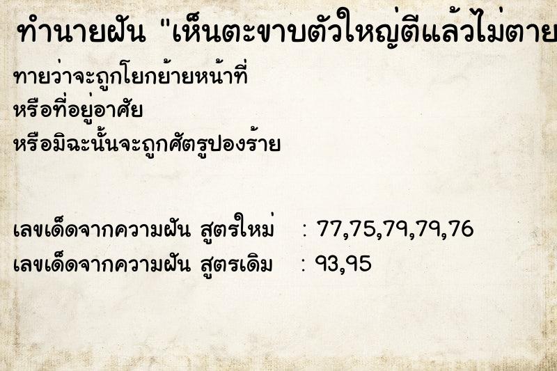 ทำนายฝันเห็นตะขาบตัวใหญ่ตีแล้วไม่ตาย ทำนายฝันทำนายฝันเห็นตะขาบตัวใหญ่ตีแล้วไม่ตาย