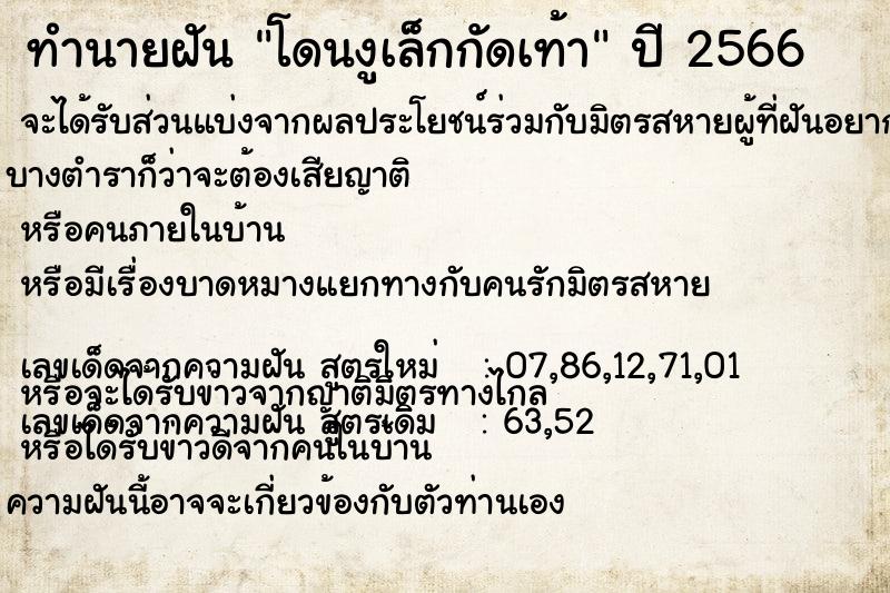 ทำนายฝันทำนายฝันโดนงูเล็กกัดเท้า