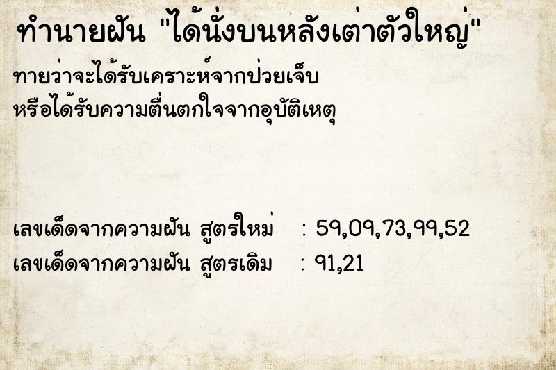 ทำนายฝันได้นั่งบนหลังเต่าตัวใหญ่ ทำนายฝันทำนายฝันได้นั่งบนหลังเต่าตัวใหญ่