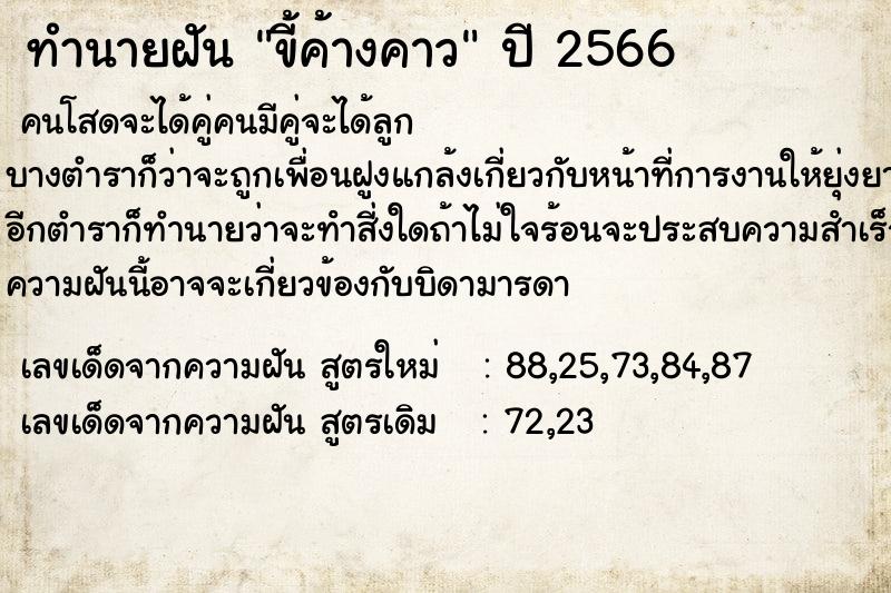 ทำนายฝัน ขี้ค้างคาว ทำนายฝัน ขี้ค้างคาว