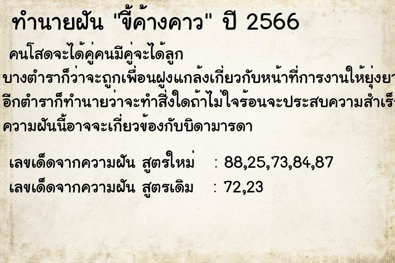 ทำนายฝัน ขี้ค้างคาว ตำราโบราณ แม่นที่สุดในโลก