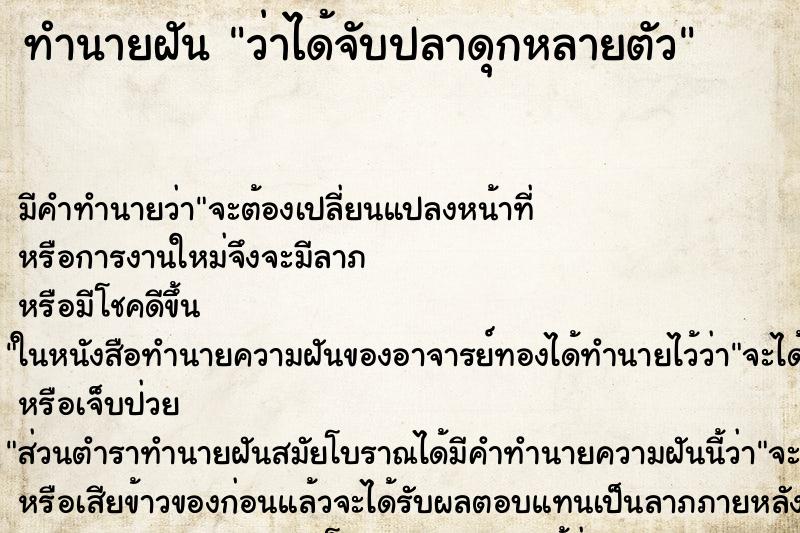 ทำนายฝัน ว่าได้จับปลาดุกหลายตัว ทำนายฝัน ว่าได้จับปลาดุกหลายตัว