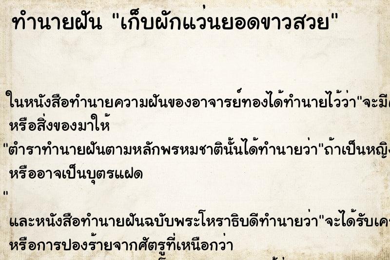 ทำนายฝัน เก็บผักแว่นยอดขาวสวย