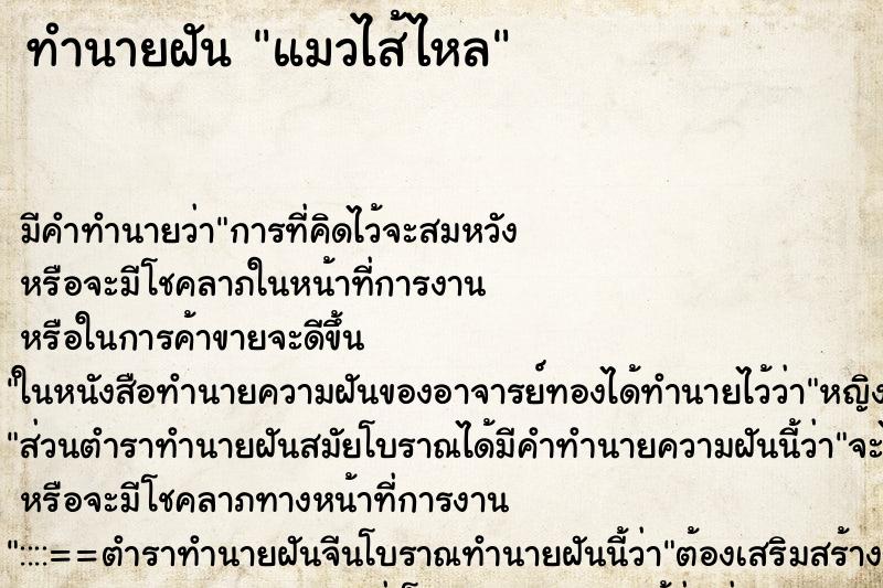 ทำนายฝัน แมวไส้ไหล ตำราโบราณ แม่นที่สุดในโลก