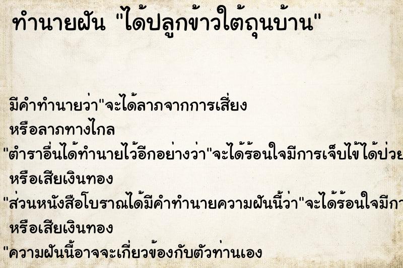 ทำนายฝัน ได้ปลูกข้าวใต้ถุนบ้าน ตำราโบราณ แม่นที่สุดในโลก