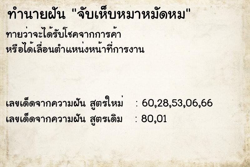 ทำนายฝันทำนายฝันจับเห็บหมาหมัดหม