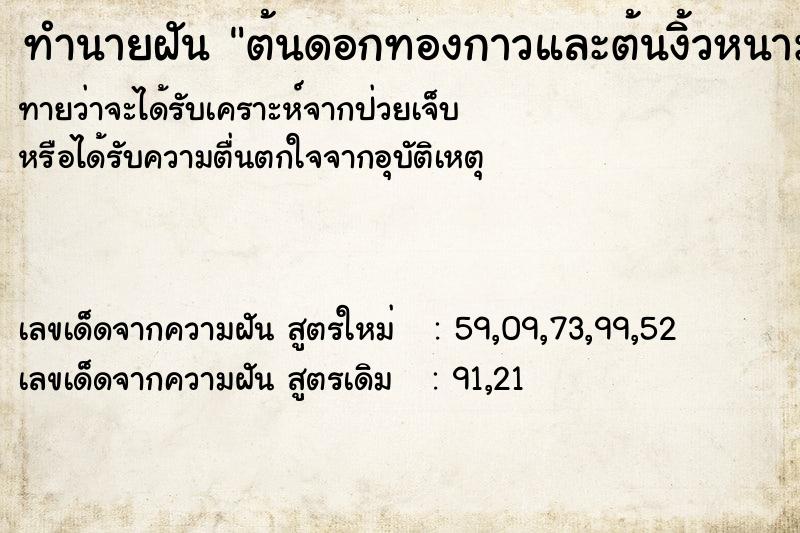 ทำนายฝัน ต้นดอกทองกาวและต้นงิ้วหนาม ทำนายฝัน ต้นดอกทองกาวและต้นงิ้วหนาม