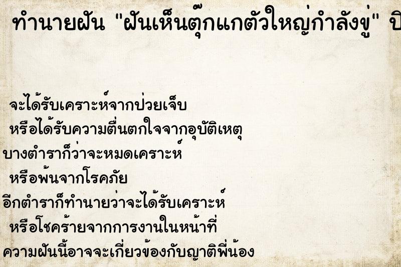 ทำนายฝันฝันเห็นตุ๊กแกตัวใหญ่กำลังขู่ ทำนายฝันทำนายฝันฝันเห็นตุ๊กแกตัวใหญ่กำลังขู่