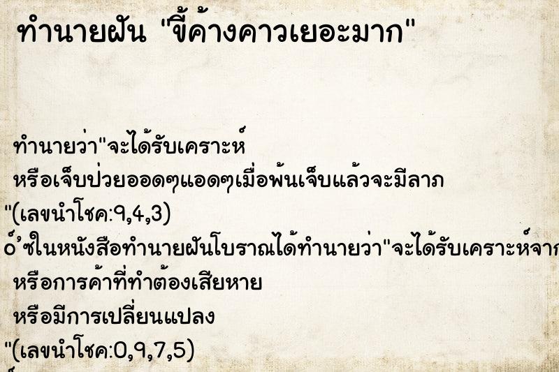 ทำนายฝัน ขี้ค้างคาวเยอะมาก ทำนายฝัน ขี้ค้างคาวเยอะมาก