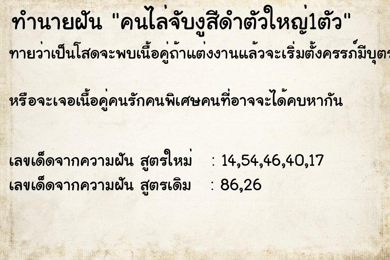 ทำนายฝันคนไล่จับงูสีดำตัวใหญ่1ตัว ทำนายฝันทำนายฝันคนไล่จับงูสีดำตัวใหญ่1ตัว