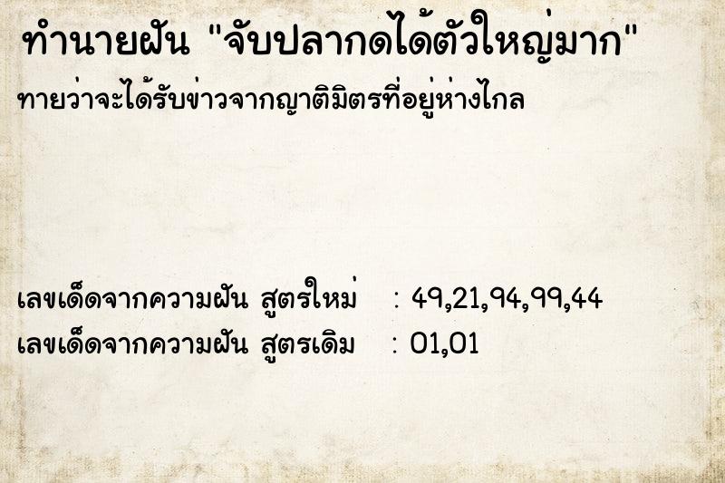 ทำนายฝันทำนายฝันจับปลากดได้ตัวใหญ่มาก