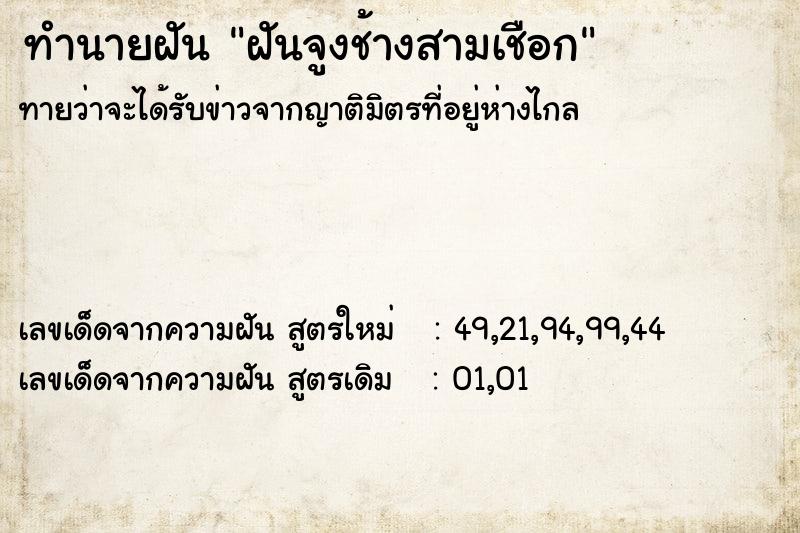 ทำนายฝันทำนายฝันฝันจูงช้างสามเชือก