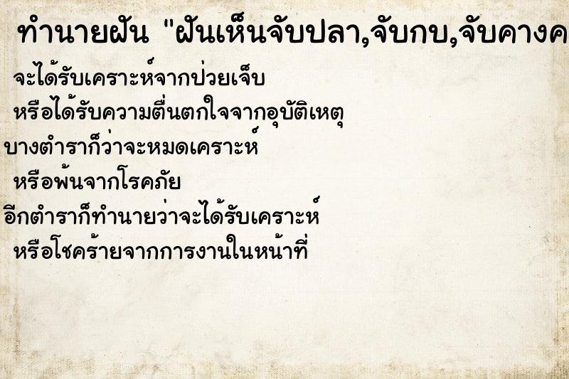 ทำนายฝันฝันเห็นจับปลา,จับกบ,จับคางคก ทำนายฝันทำนายฝันฝันเห็นจับปลา,จับกบ,จับคางคก