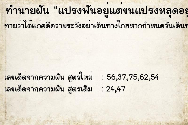 ทำนายฝันทำนายฝันแปรงฟันอยู่แต่ขนแปรงหลุดอยู่ในปาก