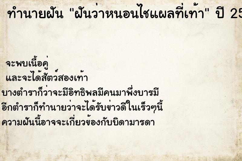 ทำนายฝันฝันว่าหนอนไชแผลที่เท้า ทำนายฝันทำนายฝันฝันว่าหนอนไชแผลที่เท้า
