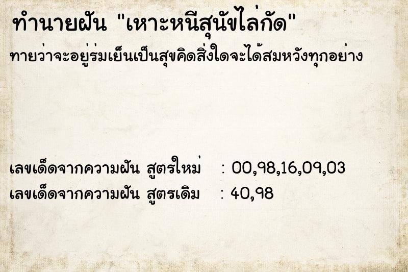 ทำนายฝันเหาะหนีสุนัขไล่กัด ทำนายฝันทำนายฝันเหาะหนีสุนัขไล่กัด