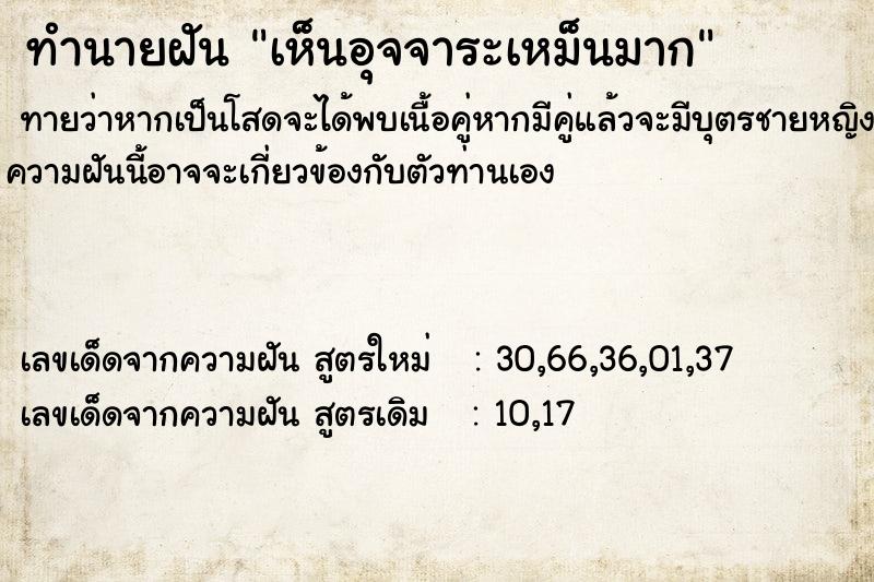 ทำนายฝันทำนายฝันเห็นอุจจาระเหม็นมาก
