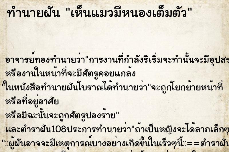 ทำนายฝัน เห็นแมวมีหนองเต็มตัว